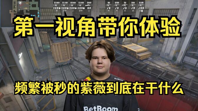 而火腿赢在 而火腿赢在